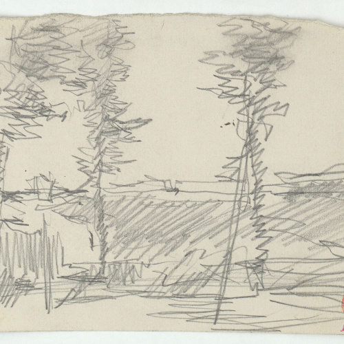 image for: Marià Fortuny - Arbres i mur - Cap a 1870-1874