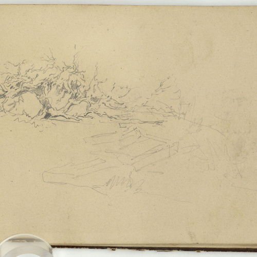 image for: Marià Fortuny - Matolls - Cap a 1862