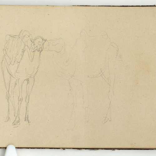 image for: Marià Fortuny - Camells - Cap a 1862