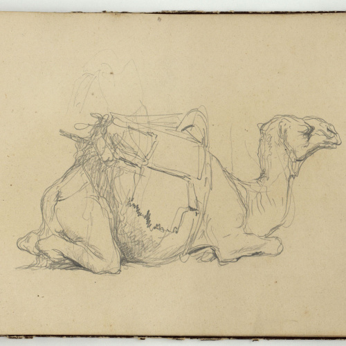 image for: Marià Fortuny - Estudi de camell - Cap a 1860-1862