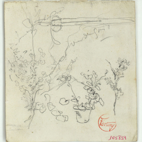 image for: Marià Fortuny - Plantes - Cap a 1870-1872