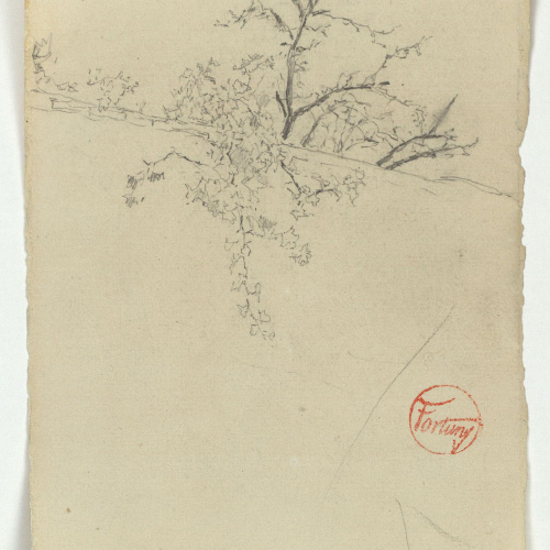 image for: Marià Fortuny - Estudi per al quadre «Ferrador marroquí» - Cap a 1870