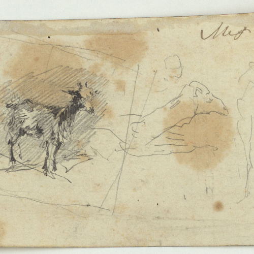 image for: Marià Fortuny - Cabra i camells (anvers) / Marroquins (revers) - Cap a 1860-1862