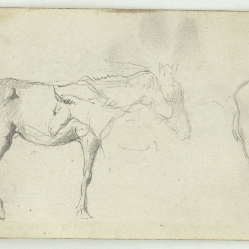 image for: Marià Fortuny - Marroquins (anvers) / Cavalls (revers) - Cap a 1860-1862 [1]