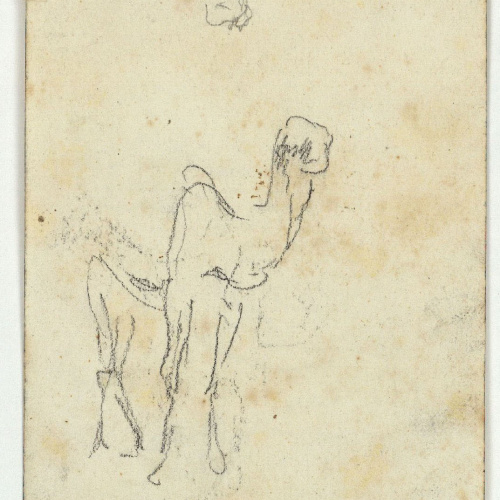 image for: Marià Fortuny - Marroquins (anvers) / Cap de bou i esbós de camell (revers) - Cap a 1860-1862 [1]