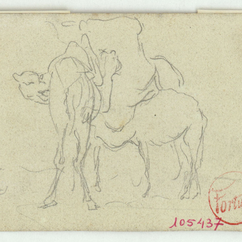 image for: Marià Fortuny - Camells - Cap a 1860-1862
