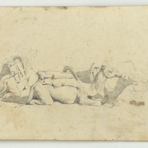 image for: Marià Fortuny - Estudi per a l&#039;aquarel·la «El cameller» - Cap a 1862-1865
