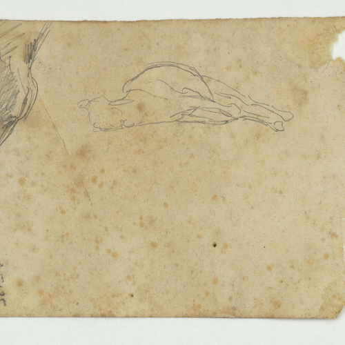 image for: Marià Fortuny - Estudi per al quadre «Kif» (anvers) / Croquis de cavall ajagut (revers) - Cap a 1868 [1]
