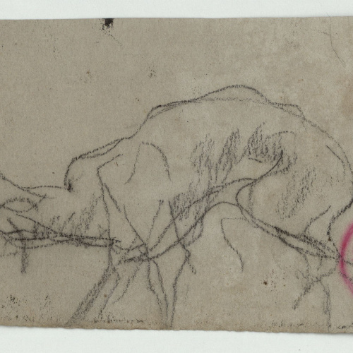 image for: Marià Fortuny - Esbós d&#039;ovella - Cap a 1866-1872