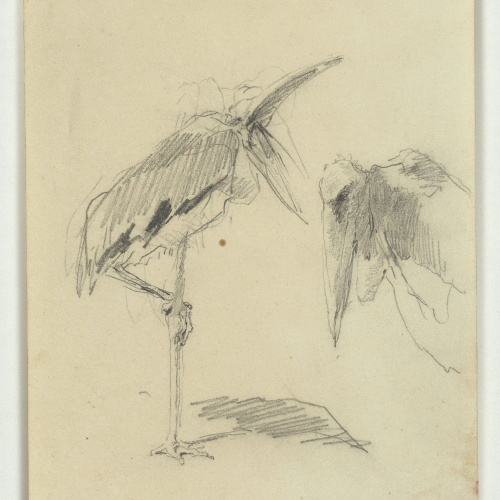 image for: Marià Fortuny - Marabús - Cap a 1870