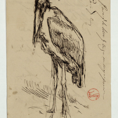 image for: Marià Fortuny - Marabú - Cap a 1863-1866