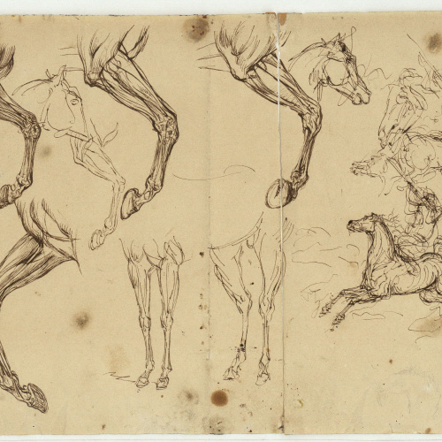 image for: Marià Fortuny - Estudi de cavalls - Cap a 1860-1862
