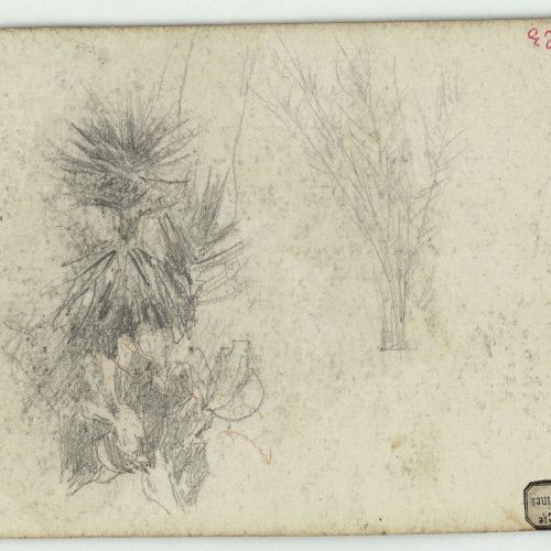 image for: Marià Fortuny - Matolls - Cap a 1863-1869