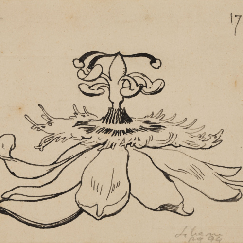 image for: Apel·les Mestres - Passionera. Culdellàntia per al poema «Liliana» d&#039;Apel·les Mestres - 1906