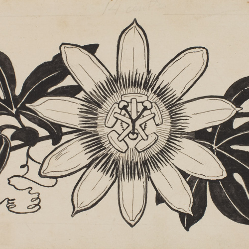 image for: Apel·les Mestres - Passionera. Capçalera de pàgina per al poema «Liliana» d&#039;Apel·les Mestres - Cap a 1907