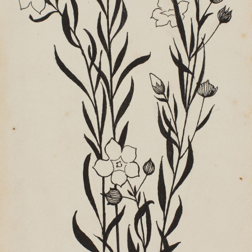 image for: Apel·les Mestres - Quatre tiges de flors boscanes. Il·lustració per al poema «Liliana» d&#039;Apel·les Mestres - 1902
