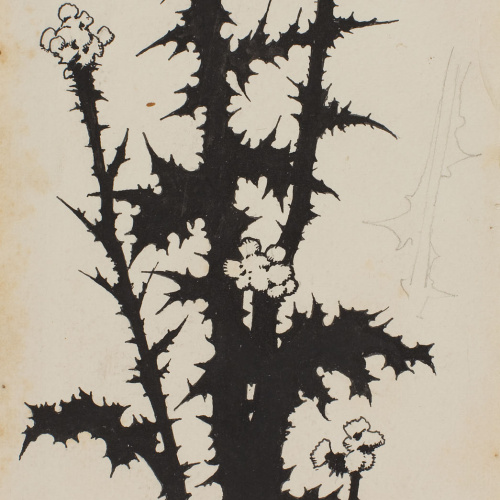 image for: Apel·les Mestres - Branca florida d&#039;argelaga. Il·lustració per al poema «Liliana» d&#039;Apel·les Mestres - 1902