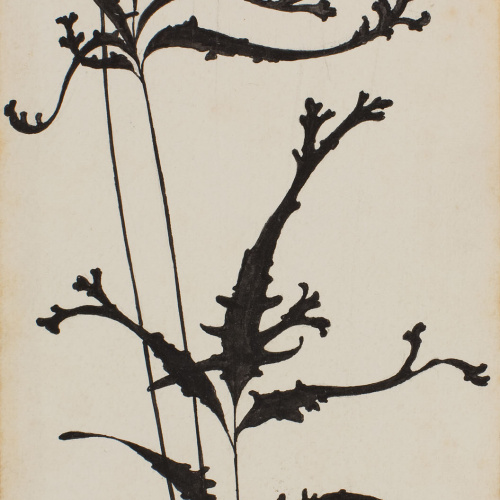 image for: Apel·les Mestres - Estilització d&#039;una branca. Il·lustració per al poema «Liliana» d&#039;Apel·les Mestres - 1902