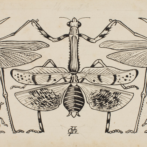 image for: Apel·les Mestres - Saltamartins, espiadimonis i escarabats fent sardana. Capçalera de pàgina per al poema «Liliana» d&#039;Apel·les Mestres - 1902