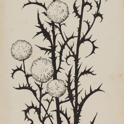 image for: Apel·les Mestres - Branca florida d&#039;escardot. Il·lustració per al poema «Liliana» d&#039;Apel·les Mestres - 1902