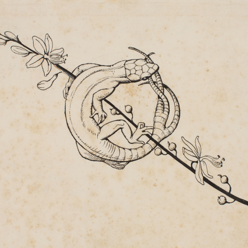 image for: Apel·les Mestres - Sargantana mossegant-se la cua. Culdellàntia per al poema «Liliana» d&#039;Apel·les Mestres - 1905