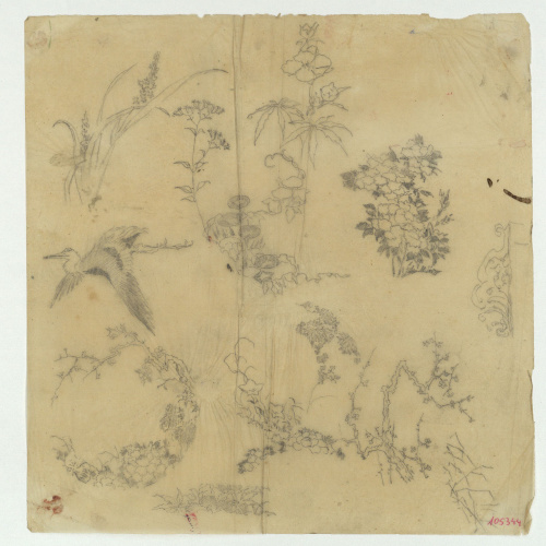 image for: Marià Fortuny - Calc de plantes i ocell - Cap a 1867-1874