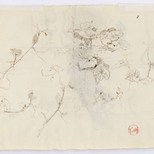 image for: Marià Fortuny - Estudi per al quadre «L&#039;elecció de la model» (anvers) / Croquis de plantes i fulles (revers) - Cap a 1868-1870 [1]