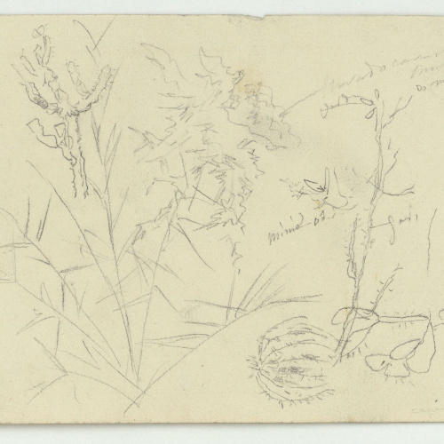 image for: Marià Fortuny - Estudi per al quadre «El jardí dels poetes» (anvers) / Estudi per al quadre «El jardí dels poetes» (revers) - Cap a 1870-1874 [1]