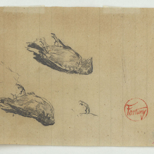 image for: Marià Fortuny - Estudi per a l&#039;heliogravat «La filla de l&#039;artista mirant un ocell mort» - Cap a 1870-1872