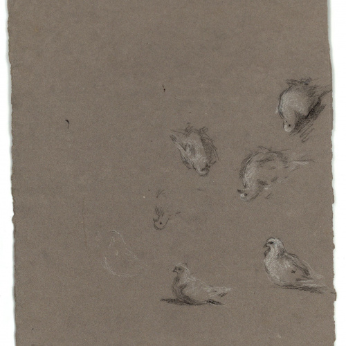 image for: Marià Fortuny - Cornucòpia (anvers) / Coloms (revers) - Cap a 1867-1870 [1]