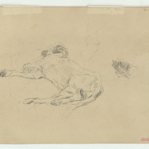 image for: Marià Fortuny - Gos ajagut (anvers) / Esbós d&#039;ocell (revers) - Cap a 1868-1870