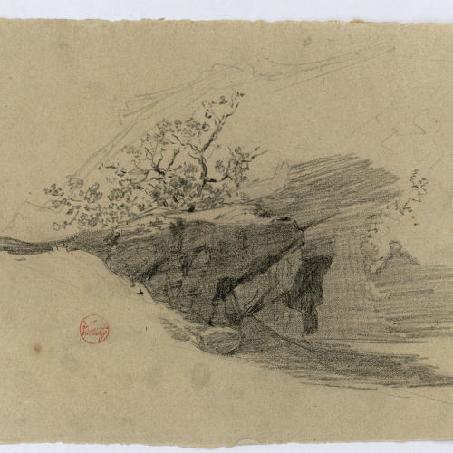 image for: Marià Fortuny - Roca amb matolls - Cap a 1860-1862