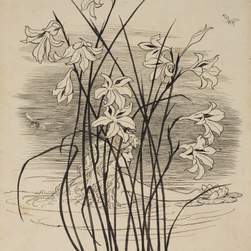 image for: Apel·les Mestres - El gorc. Il·lustració per al poema «Liliana» d&#039;Apel·les Mestres - 1906