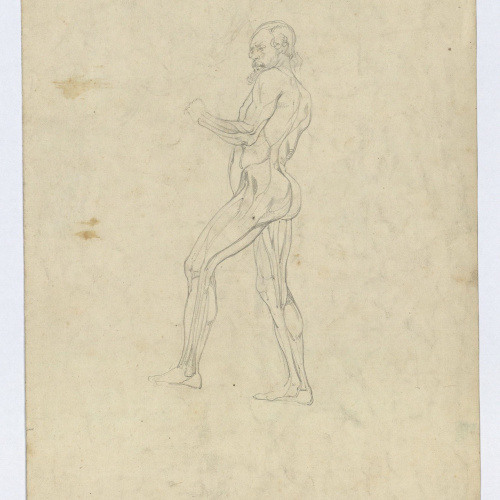 image for: Marià Fortuny - Amorets i animals al bosc (anvers) / Estudi acadèmic de figura masculina (revers) - Cap a 1860-1863 [1]