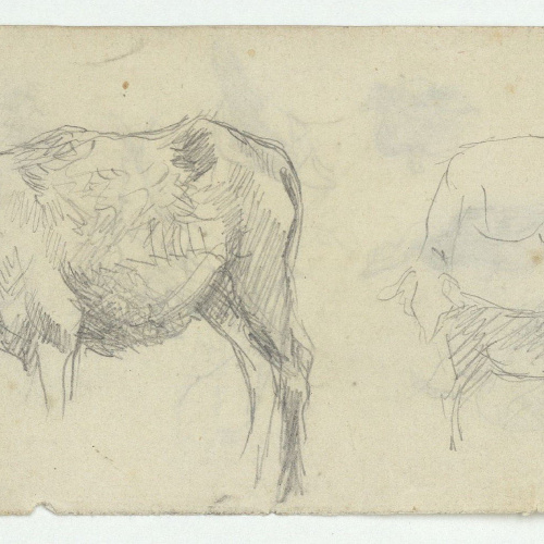 image for: Marià Fortuny - Rucs (anvers) / Ànecs i gallines (revers) - Cap a 1870-1872