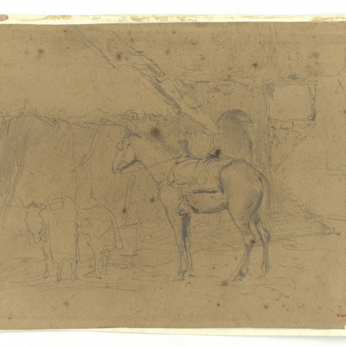 image for: Marià Fortuny - Estudi per al gravat «Cavall marroquí» - Cap a 1860-1862