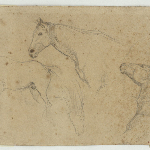 image for: Marià Fortuny - Estudi de cavalls (anvers) / Nen i altres figures (revers) - Cap a 1860-1862