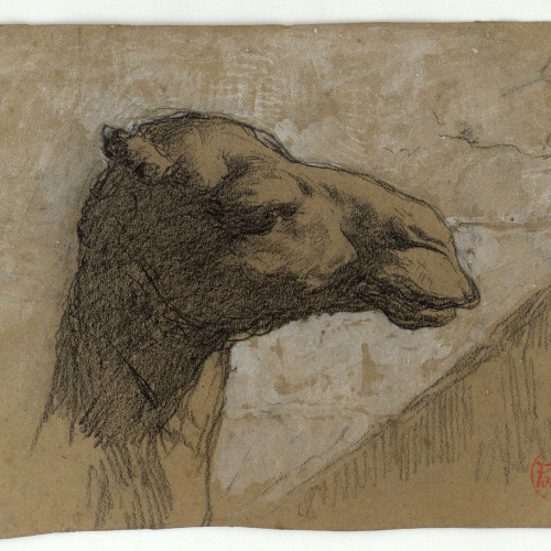 image for: Marià Fortuny - Cap de camell (anvers) / Esbós de figures (revers) - Cap a 1860-1862