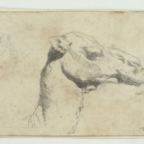 image for: Marià Fortuny - Cap de camell i esbós de marroquins - Cap a 1860-1862