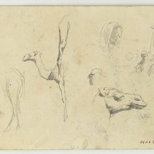 image for: Marià Fortuny - Estudi de camells i figures (anvers) / Camells (revers) - Cap a 1860-1862