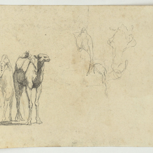 image for: Marià Fortuny - Estudi de camells i figures (anvers) / Camells (revers) - Cap a 1860-1862 [1]