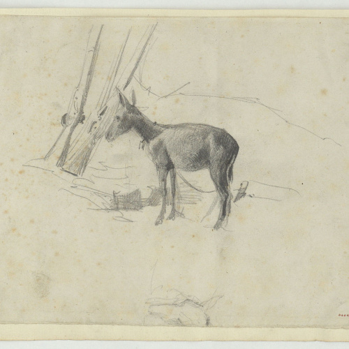 image for: Marià Fortuny - Ruc - Cap a 1860-1862
