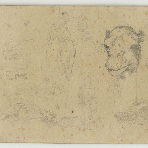 image for: Marià Fortuny - Esbós de marroquins i cap de camell - Cap a 1860-1862