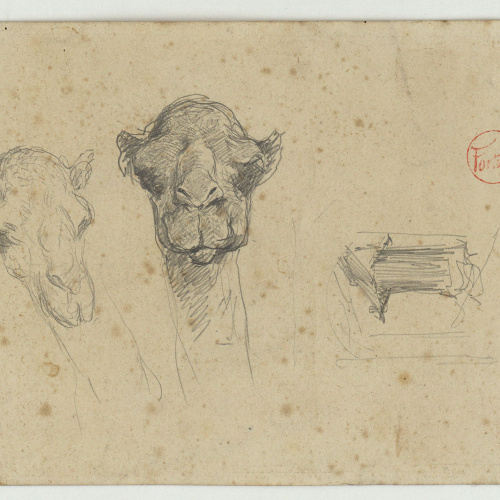 image for: Marià Fortuny - Caps de camell - Cap a 1860-1862