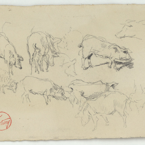 image for: Marià Fortuny - Estudi per al quadre «Els porcs» - Cap a 1872