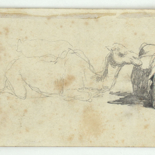 image for: Marià Fortuny - Estudi per a l&#039;aquarel·la «El cameller» (anvers) / Esbós de toro i cavall (revers) - Cap a 1862-1865