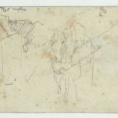 image for: Marià Fortuny - Estudi per a l&#039;aquarel·la «El cameller» (anvers) / Esbós de toro i cavall (revers) - Cap a 1862-1865 [1]