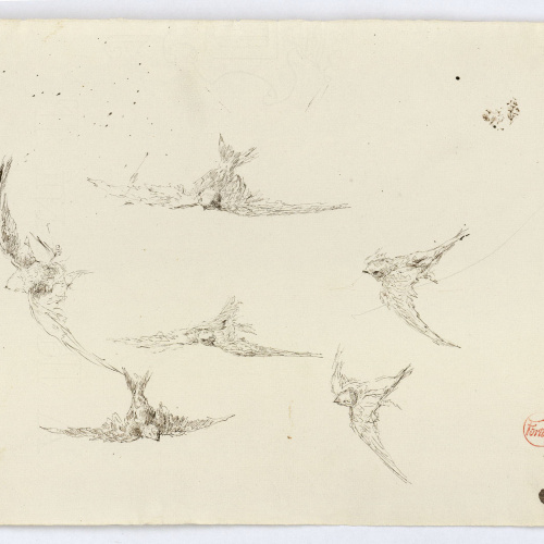 image for: Marià Fortuny - Falciots - Cap a 1872-1874