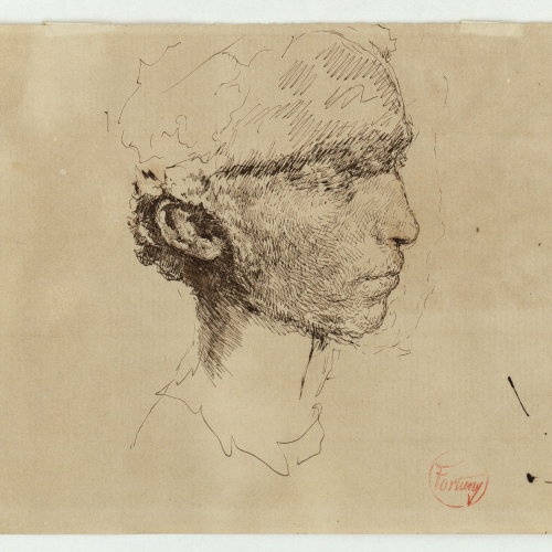 image for: Marià Fortuny - Retrat de Vincenzo Gemito - Cap a 1874
