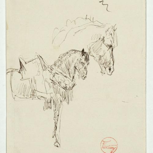 image for: Marià Fortuny - Estudi de cavall - Cap a 1860-1862